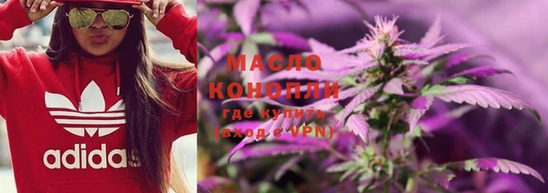 spice Богородицк