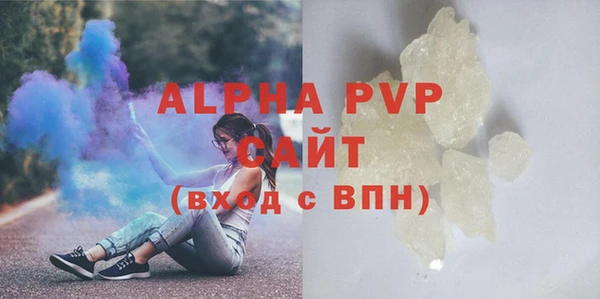 шишки Беломорск