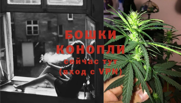 шишки Беломорск