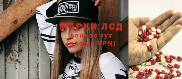 spice Богородицк