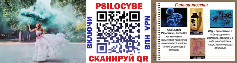 Псилоцибиновые грибы Psilocybine cubensis  Воскресенск 