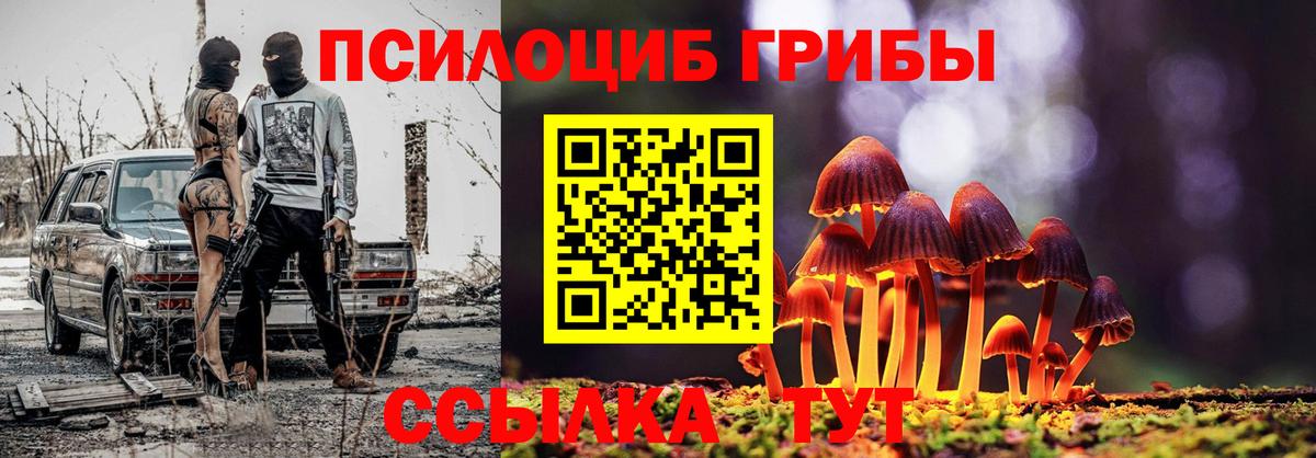 Псилоцибиновые грибы прущие грибы  Вход с VPN  Воскресенск  Псилоцибиновые грибы MAGIC MUSHROOMS 