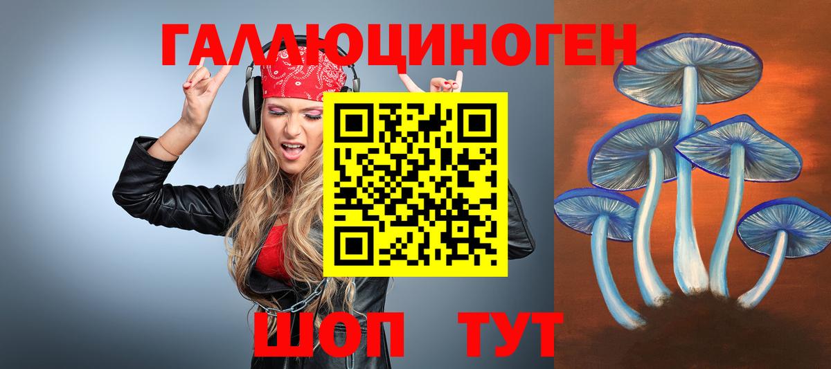 Псилоцибиновые грибы Psilocybe Воскресенск